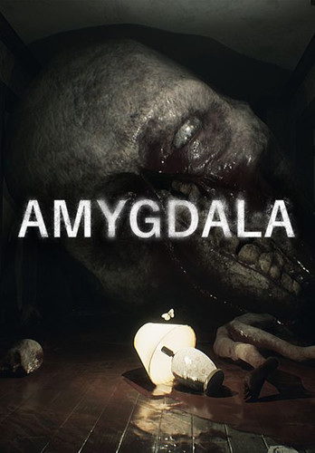 Amygdala - Обложка